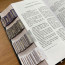 Biblia León Negra Personalizable con Nombre en Dorado